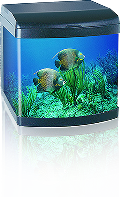 Antibacterial Glass Aquarium